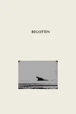 Begotten