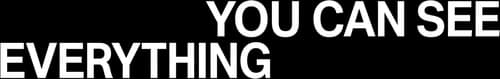 You Can See Everything